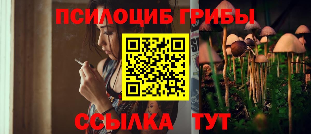 Галлюциногенные грибы ЛСД Лесной