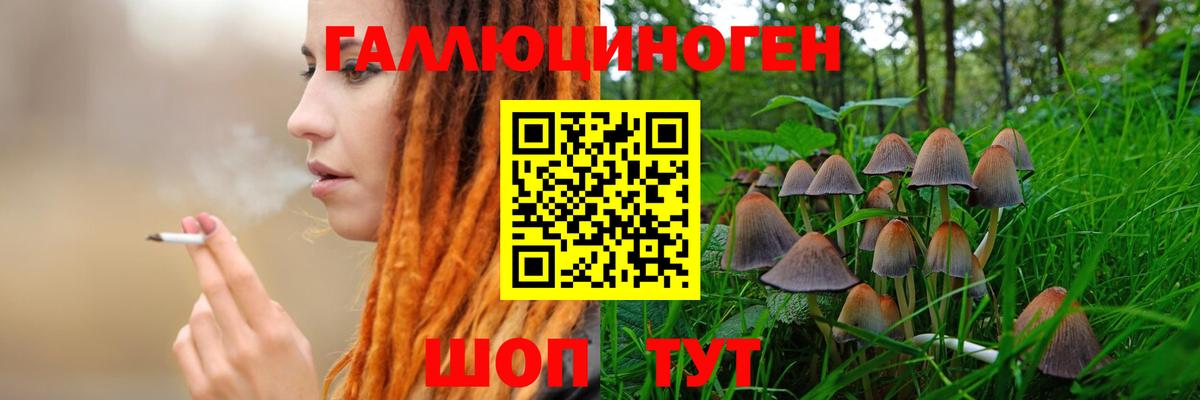 Лесной  Галлюциногенные грибы Psilocybine cubensis  Вход с VPN  Галлюциногенные грибы MAGIC MUSHROOMS 